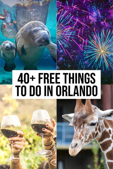 free things to do in orlando Things To Do In Florida Orlando, Orlando Things To Do, Things To Do Near Orlando, What To Do In Orlando Florida, Fun Things To Do In Orlando Florida, Fun Things To Do In Florida, Things To Do Near Orlando Florida, Non Disney Things To Do In Orlando, Orlando Florida Things To Do In December