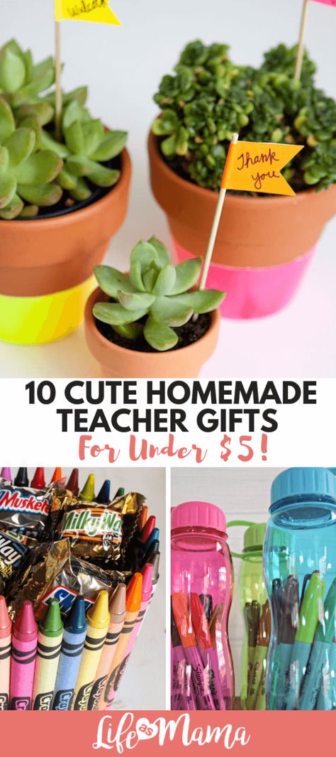 10 Cute Homemade Teacher Gifts For Under $5! Homemade Teacher Gifts, Handmade Teacher Gifts, Cute Teacher Gifts, Teachers Diy, Back To School Crafts, Teachers Day Gifts, Diy Teacher Gifts, Cadeau Diy, Cactus Y Suculentas