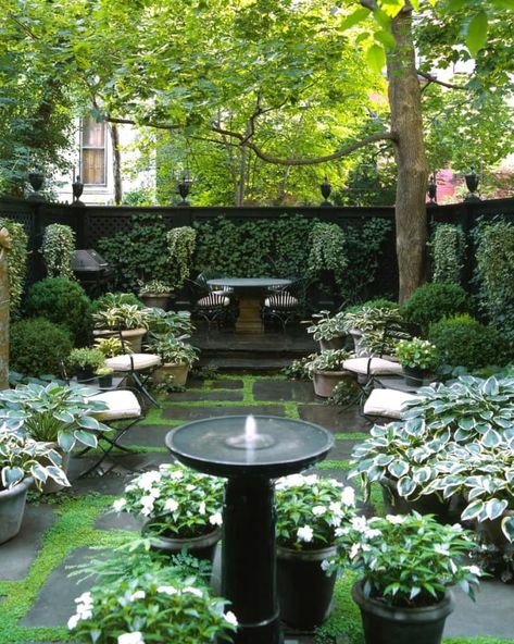 Small Garden Design Ideas Low Maintenance, Small Courtyard Gardens, The Secret Garden, Creative Gardening, Backyard Garden Design, City Garden, Beautiful Backyards, Small Garden Design, Courtyard Garden