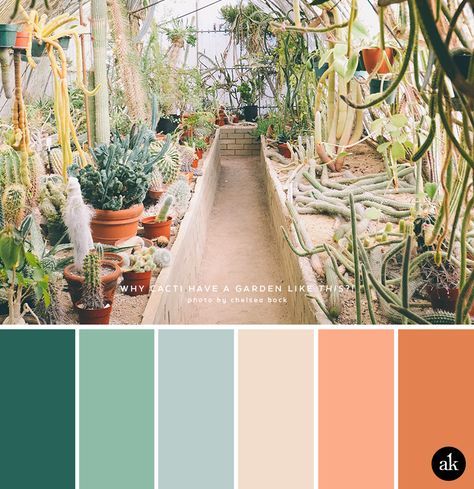 Green Color Palette Bedroom, Kristin Neff, Terracotta Color Palette, Coral Colour Palette, Inner Garden, Terracotta And Green, Fear Of Love, Daily Journaling, Modern Brands