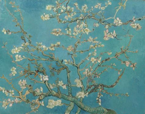 Almond Blossom - Vincent van Gogh - Van Gogh Museum فنسنت فان جوخ, Vincent Willem Van Gogh, Giuseppe Arcimboldo, Almond Blossoms, Van Gogh Almond Blossom, Almond Tree, Vincent Van Gogh Paintings, Arte Van Gogh, Van Gogh Museum