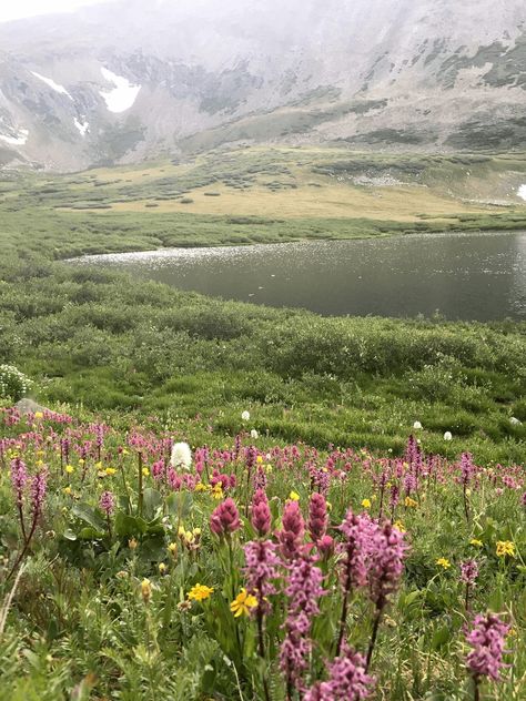 Breckenridge Summer, Colorado Family Vacation, Colorado Aesthetic, Colorado Wildflowers, Colorado Summer, Indian Paintbrush, Summer Hike, Breckenridge Colorado, Colorado Vacation