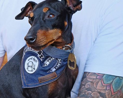 Gg Allin, Dog Vests, Dog Patch, Denim Dog, Dog Vest, Dog Items, Dog Scarfs, Dog Gear, Dachshund Love