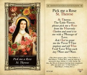 St Theresa Little Flower, Novena Prayers Catholic, St Therese Prayer, Catholic Saints Prayers, Rosary Prayers, Prayers Catholic, Catholic Prayers Daily, Prayer Images, Catholic Answers