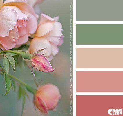 Cottage Shabby Chic, Color Schemes Colour Palettes, Color Palate, Design Seeds, Color Balance, Color Palette Design, Color My World, Colour Inspiration, Colour Board