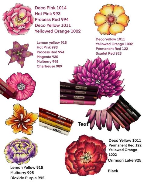 Color Pencil Combinations, Prismacolor Flower Color Combinations, Prismacolor Drawing Ideas, Flowerscape Coloring, Prismacolor Combos, Prismacolor Combinations, Pencil Coloring, Colored Pencil Art Projects, Pencil Inspiration