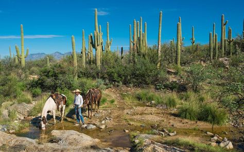 The Best Trips to Take in Your 50s Fall Weekend Getaway, Canada Mountains, Travel Places To Visit, Health Retreat, Dude Ranch, Tucson Arizona, Santa Lucia, Hilton Head Island, Travel Places