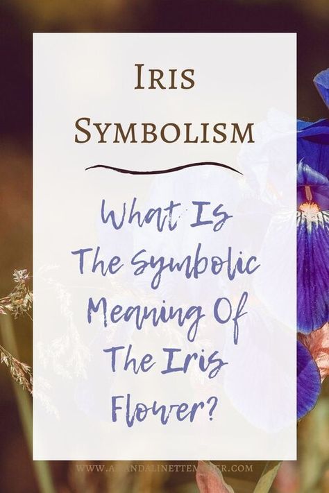 Iris Quotes Flower, Purple Iris Meaning, Iris Flower Garden Ideas, Iris Name Meaning, Iris Flower Meaning, Iris Symbolism, Black Iris Tattoo, Iris Wedding Theme, Iris Flower Tattoo Black