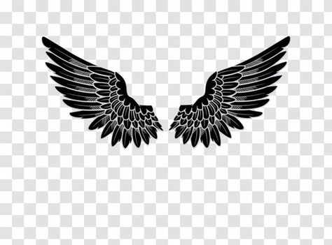 Eagle Line Art, Angel Wings Tattoo On Back, Tv Dresser, Eagle Wing Tattoos, Winged Stencil, Dark Roses Tattoo, Wings Sticker, Wing Tattoos On Back, Wing Tattoo Men