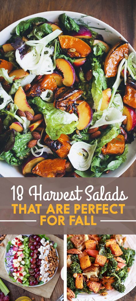 Budha Bowls, Fall Salads, Autumn Salad Recipes, Different Salads, Harvest Salad, Peach Salad, Autumn Salad, Healthy Salad Recipes, Healthy Salads