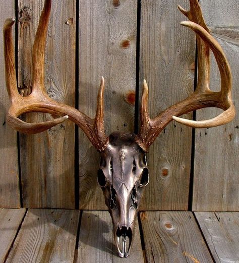 Try one of these 20 pieces of antler art to use those old racks you have lying around. Transform your house into an outdoorsman's dream Skull Mount Ideas, Deer Skull Decor, Painted Deer Skulls, Deer Hunting Decor, Deer Skull Mount, Animal Skull Decor, Elk Skull, Deer Skull Art, Deer Antler Crafts