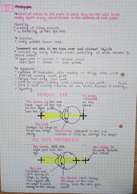 The Eye Biology Notes, Physics Notes Class 10 Human Eye, Human Eye Class 10 Notes, Human Eye Diagram Class 10, Biophysics Notes, Human Eye Notes, Optometry Notes, Ophthalmology Notes, Optometry Aesthetic