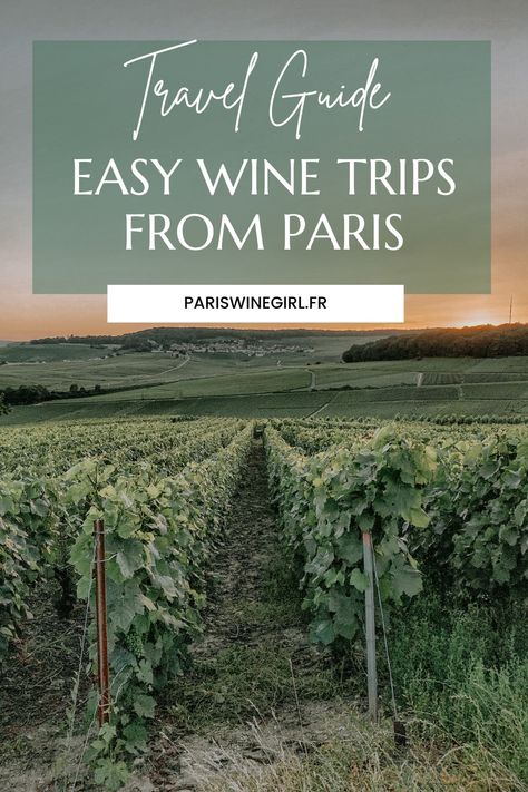 French Wine Country Itinerary, France Activities, France Wine Country, Paris Wine, Bordeaux France Wine Tasting, French Wine Country, Belleville Paris, Saint Emilion France Wineries, Alsace France Wine Route