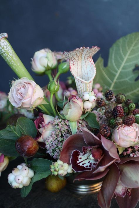 photo Carnivorous Pitcher Plant, Plant Bouquet, Bouquet Champetre, Pitcher Plant, Fig Leaves, Flower Display, Floral Ideas, Flower Arranging, Floral Inspiration