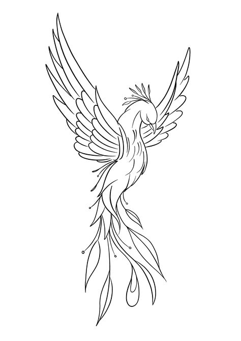 Phoenix Design Drawing, Phoenix Drawing Sketches Simple, Phoenix Drawing Sketches Art, Phoenix Painting Easy, Pheonix Tattoo Stencils, Phoenix Drawing Simple, Phoenix Bird Drawing, Phoenix Line Art, Phoenix Outline