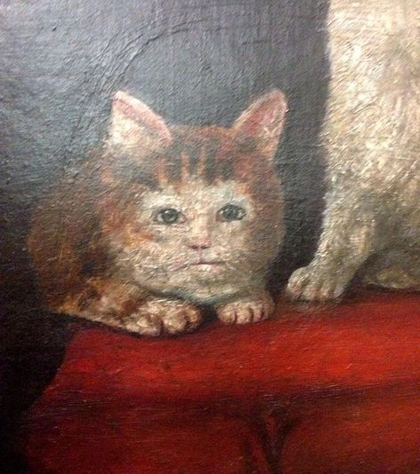 Age Chat, Bad Cat, Cat Paintings, Ugly Cat, Medieval Paintings, Rennaissance Art, Art Mignon, Cat Cafe, Funny Cats And Dogs