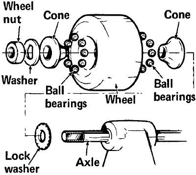 HowStuffWorks "How to Maintain a Skateboard" Skater Chick, Long Skate, Future Board, Long Boards, Skateboarding Tricks, Sup Stand Up Paddle, Skate And Destroy, Skateboard Parts, Longboard Skateboard