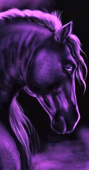 Purple Horse Purple Horse Aesthetic, Purple Horse, Cute Horse Pictures, Wedding Dress Vintage, Lion Wallpaper, Asoiaf Art, Horse Wallpaper, Horse Aesthetic, My Horse