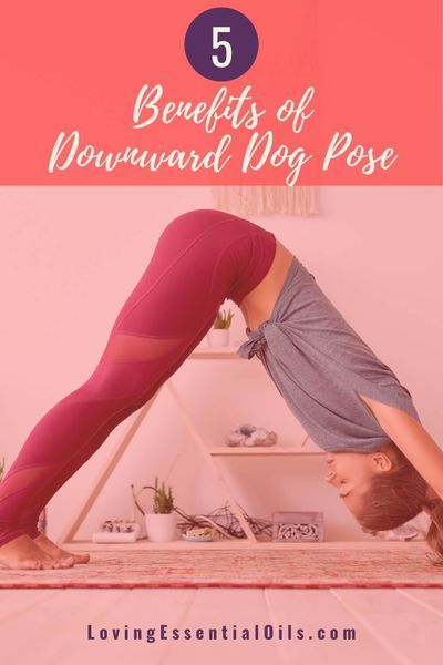 5 Benefits of Downward Facing Dog Pose in Yoga by Loving Essential Oils - Visit blog to get FREE printable Yoga Poses Cheat Sheet! #yogabenefits #downwarddog #yogaposes Downward Facing Dog Pose, Posture Yoga, Downward Dog Pose, Bone Strength, Downward Facing Dog, Dog Poses, Dog Yoga, Easy Yoga Poses, Bad Posture