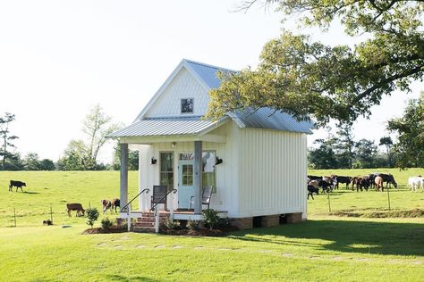 Callie Richardson on Instagram: “🌿🐮 sweet little honeymoon cottage at @thewhitemagnolia” Honeymoon Cottage, Shed, Outdoor Structures, Cottage, On Instagram, Instagram