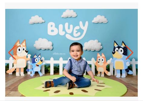 Bluey Themed Photoshoot, Bluey Photoshoot Toddler, Bluey Photoshoot, Fiesta Bluey, Bluey Party, 1st Birthday Photoshoot, Second Birthday Ideas, Bluey Birthday, 1st Birthday Party Decorations