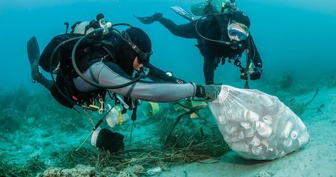 How to help clean up marine debris on every dive, and why scuba divers should help tackle trash. Marine Biology Jobs, Marine Debris, Marine Pollution, Sea Diving, Scuba Diving Equipment, Animal Conservation, Save Our Oceans, Underwater Photographer, Diving Equipment