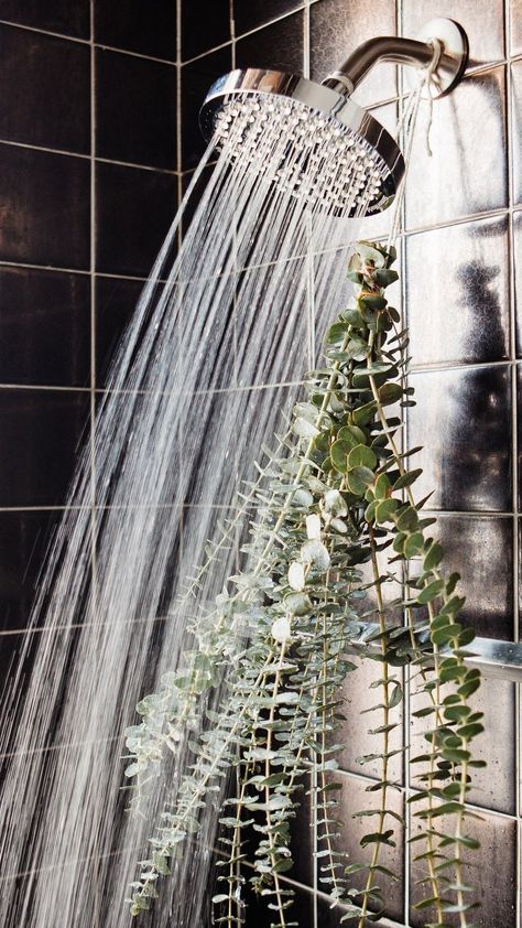 How To Make Your Shower Aesthetic, Wellness Home Aesthetic, Relaxing Shower Aesthetic, Shower Esthetics, Spa Bath Ideas, Relaxing Shower Ideas, Nordic Spa Aesthetic, Morning Shower Aesthetic, Eucalyptus In Shower Bathroom