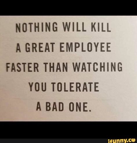 NOTHING WILL KILL A GREAT EMPLOYEE FASTER THAN WATCHING YOU TOLERATE A BAD ONE. - iFunny :) Work Environment Quotes, Leadership Quotes Work, Employee Quotes, Ethics Quotes, Good Leadership Quotes, Environment Quotes, Workplace Quotes, Leadership Quotes Inspirational, Job Quotes