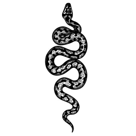 Procreate digital snake drawing Black And Grey Tattoo Design, Grey Tattoo Design, Snake Sketch, Beautiful Tattoo Designs, Black And Grey Tattoo, Tattoo Shading, Snake Drawing, Tattoo Filler, Tattoos With Kids Names