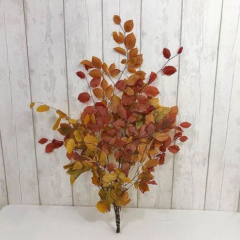 <p> Beech (Copper) Preserved 80cm wholesaled in single bunches.</p> Copper Beech Foliage, Tortworth Court, Rust Flowers, Flowers Single, Flower Recipes, Dutch Flowers, Copper Beech, Wedding Floral Ideas, November Wedding