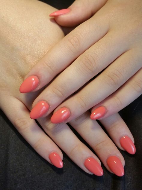 Almond nails Coral Orange passion for nails Almond Coral Nails, Deep Coral Nails, Coral Almond Nails, Coral Summer Nails, Nail Designs Neon, Orange Almond Nails, Nails Rounded, Square Oval Nails, Rounded Acrylic Nails