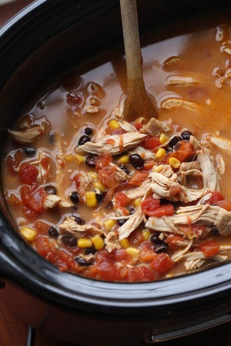 Crockpot Chicken Tortilla Soup is a flavor packed EASY soup recipe that is perfect to make ahead on busy nights. #cookiesandcups #slowcooker #crockpot #souprecipe #dinnerrecipe #makeahead Chicken Enchilada Soup Crock Pot, Crockpot Chicken Enchiladas, Slow Cooker Chicken Tortilla Soup, Chicken Enchilada Soup, India Food, Chicken Tortilla Soup, Cooking Classy, Chicken Tortilla, Crock Pot Soup