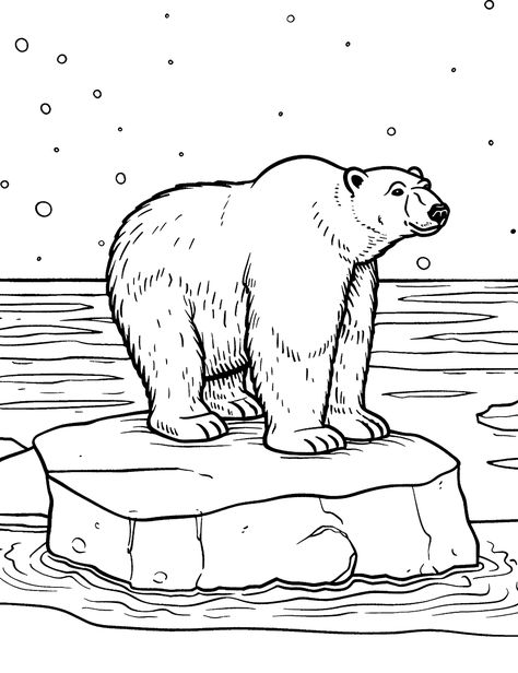 Polar Bear Coloring Pages Free Printable, Bear Coloring Pages Free Printable, Polar Bear Coloring Pages, Polar Bear Coloring Page, Bear Face Drawing, Polar Bear On Ice, Bear Coloring Page, Polar Bear Drawing, Arctic Landscape