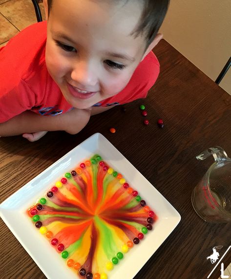 Skittles Science Experiment - A Cowboys Life Science Fair Projects Skittles, Skittles Activity, Skittles Science Experiment, Skittles Rainbow Experiment, Skittles Experiment, Easy Crafts For Kids, Science Experiments, Science For Kids, Craft Activities For Kids