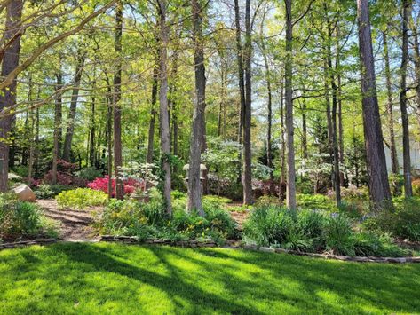 Spring in the Wood V2 - Traditional - Landscape - Richmond - by Gardens by Monit, llc | Houzz NZ Large Backyard Landscaping, Farmhouse Remodel, Large Backyard, Traditional Landscape, Woodland Garden, Backyard Patio, In The Woods, Backyard Landscaping, Outdoor Spaces