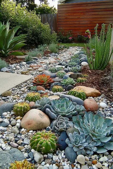 26 Cactus Garden Landscaping Ideas for Stunning Desert-Inspired Designs Cactus Garden Backyard, Desert Gardens Arizona, Desert Backyard Ideas Arizona, Desert Garden Landscaping, Cactus Garden Design, Cactus Garden Landscaping, Desert Landscape Design, Xeriscape Front Yard, Garden Landscaping Backyard