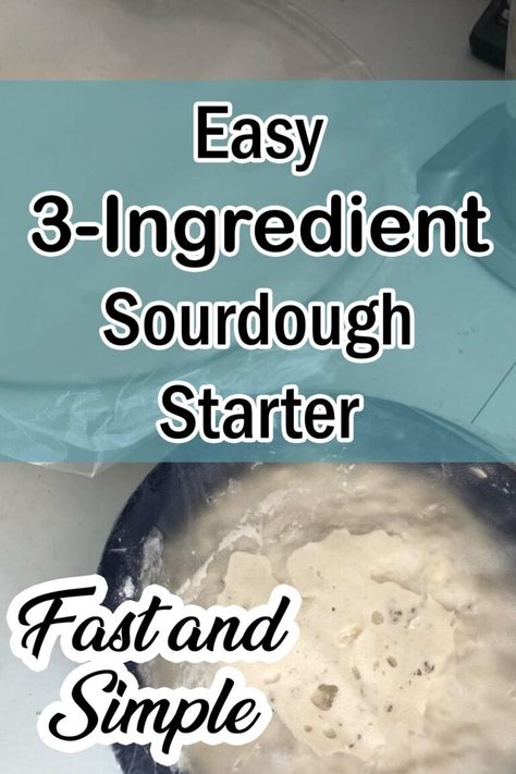 Easy 3-ingredient sourdough starter, fast and simple with a photo of the bowl of starter How Do I Make Sourdough Starter, Sourdough Bread Starter With Yeast, Sour Dough Bread Without Starter, Sourdough Starter Video Recipe, Sourdough Starter Recipe With Yeast, No Discard Sourdough Starter Recipe, Easy Sourdough Bread Recipe Sour Dough Starter, Recipe For Sourdough Starter, Easy Homemade Sourdough Bread