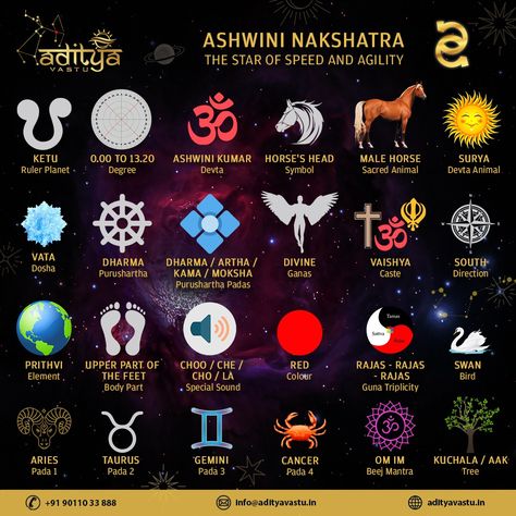 Ardra Nakshatra, Ashwini Nakshatra, Vedic Astrology Charts, Astrology Charts, Jyotish Astrology, Tips For Happy Life, Indian History Facts, Astrology Planets, Astrology Books