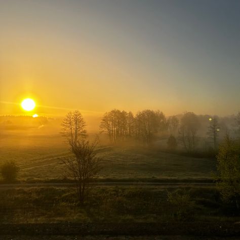 Sunrise, sun, sunny, good weather, forest, field, train, by train, treval, poland, beaty, trees, spring, summer, aesthetic Spring Sunrise Aesthetic, Sunny Field Aesthetic, Sunny Forest Aesthetic, Summer Weather Aesthetic, Sunny Weather Aesthetic, Spring Summer Aesthetic, Wallpaper Combo, Outlast Trials, Sunny Field