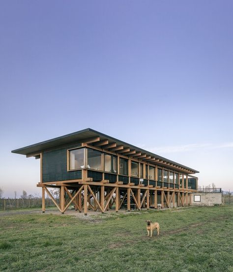 Timber Frame Architecture, Cabin On Stilts, Stilt Home, Farm Village, Timber Frame House, Timber Architecture, Cabin Tiny House, Timber Frame Construction, House On Stilts