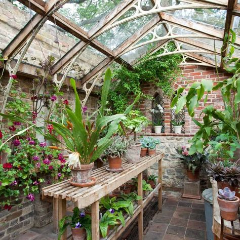 20+ Awesome Backyard Greenhouse Ideas For Gardening Enthusiasts Glass Greenhouse Aesthetic, Glass Greenhouse Diy, Art Studio Greenhouse, Inside A Greenhouse Ideas, Greenhouse Interior Design, Hot House Greenhouse Diy, Greenhouse Inside Ideas, Small Greenhouse Ideas Interior Design, Green House Ideas Interior