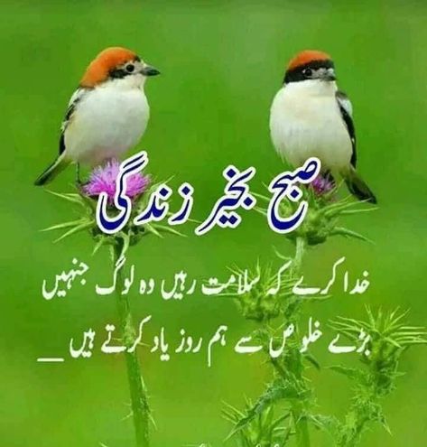 Suba Bakhair, Good Morning Kiss Images, Good Morning Monday Images, Subah Bakhair, Home Science, Good Morning Kisses, Friday Wishes, Good Morning Msg, Good Morning Sister