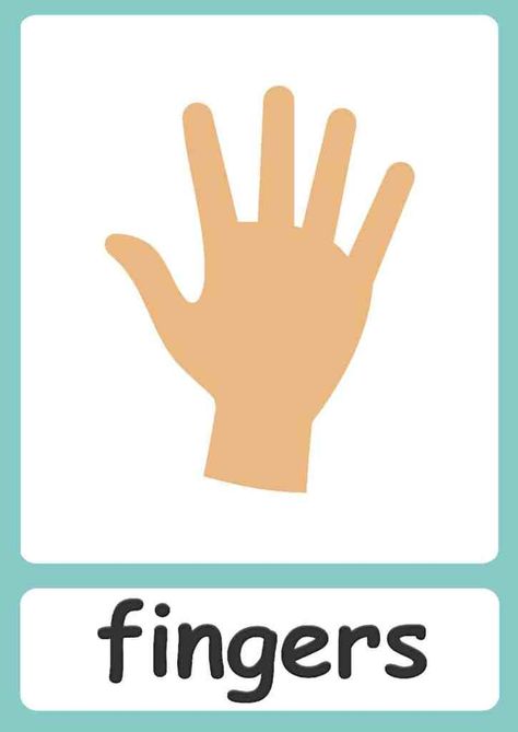 Body Parts Theme, Clothes Flashcards, Body Parts Flashcards, Body Parts Preschool Activities, Body Parts For Kids, 1st Grade Crafts, Free Flashcards, Body Parts Preschool, Educational Activities For Preschoolers