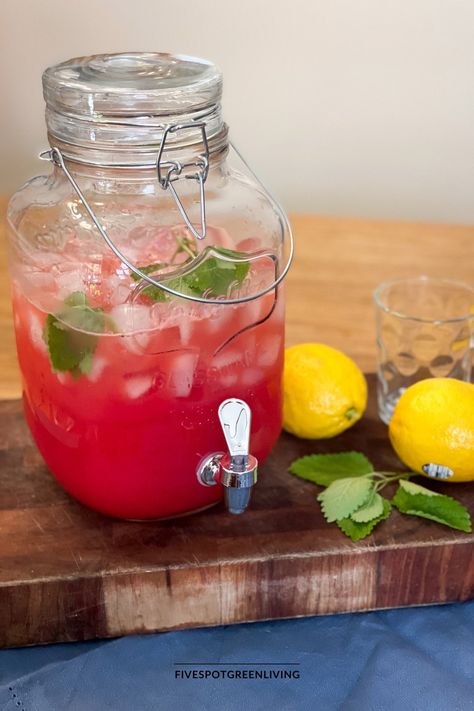 Beat the heat with a delicious and healthy drink! This easy watermelon lemonade recipe uses white sugar, fresh-squeezed lemons, watermelon, and ice cubes. Watermelon Lemonade, Watermelon Juice, Lemonade Recipes, Beat The Heat, How To Squeeze Lemons, Refreshing Drinks, Us Foods, Healthy Drinks, Vegan Gluten Free