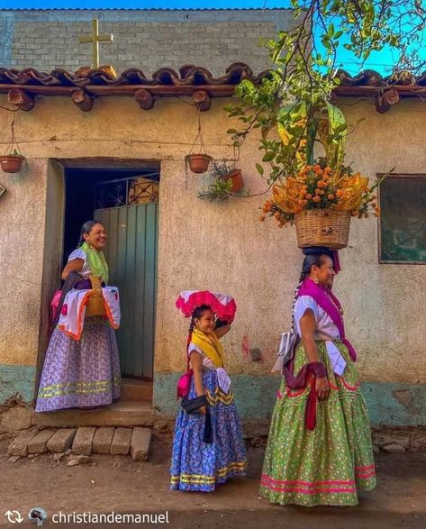 Mexican Pride Aesthetic, Mexican Royalty Aesthetic, Mexico Aesthetic Vintage, Mexico Aesthetic Culture, Mexican Culture Aesthetic, Guatemala Culture, Mexican Nature, Mexicana Aesthetic, Guatemala Aesthetic