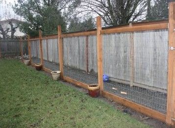 Dog Run Fence, Dog Runner, Outdoor Kennel, Diy Dog Run, Outdoor Dog Runs, Backyard Dog Area, Dog Enclosure, Dog Backyard, Enclosure Ideas