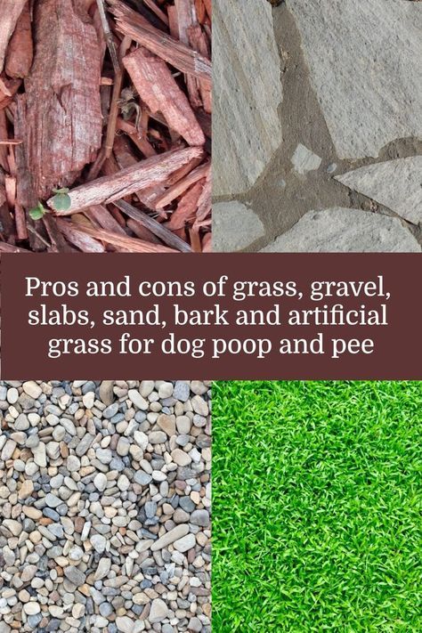 Pea Gravel Potty Area, Diy Dog Potty Area Apartments, Small Outdoor Dog Potty Area, Dog Run Gravel, Dog Run Drainage, Small Patio Dog Area, Pea Gravel For Dogs, Dog Run Small Backyard, Potty Spot For Dogs Yards