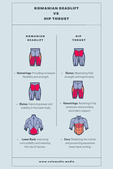 Romanian Deadlift vs. Hip Thrust: Which Exercise Is Better For You? 🏋️‍♂️ Dive into the benefits of each exercise to determine which is the ideal choice for your fitness goals. Learn how Romanian deadlifts and hip thrusts target different aspects of lower body strength and decide which can best enhance your workout routine! Hip Thrust Benefits, Romanian Deadlift, Lower Body Strength, Muscle Hypertrophy, Lower Body Muscles, Strength Training Routine, Hip Thrusts, Glute Activation, Core Stability