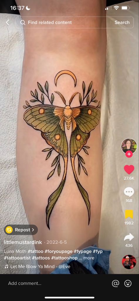 Moth Tattoo Meaning, Lunar Moth Tattoo, Luna Moth Tattoo, New Tattoo Styles, Moth Tattoo Design, Lantern Tattoo, Lunar Moth, Insect Tattoo, Mushroom Tattoos