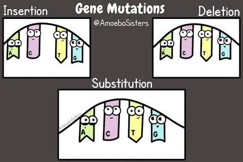 Gene mutations High School Biology Classroom, Science Gif, Amoeba Sisters, Biology Genetics, Biology Jokes, Dna Facts, Sisters Photo, Gene Mutation, Biology Humor